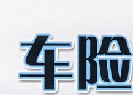 车险
